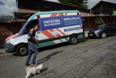 O SamuVet é inspirado no modelo do Samu humano, com central de regulação, triagem de risco, deslocamento rápido e suporte técnico no local da ocorrência -  (crédito: Túlio Santos/EM/D.A.Press)