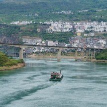 Descoberta de peixe gigante predador entrou para a história na China - ?? ?/Unsplash
