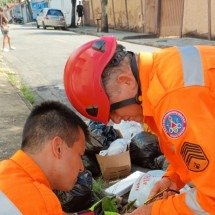 Maritaca presa em fios com cerol tem pata amputada em Poços de Caldas (MG) - CBMMG