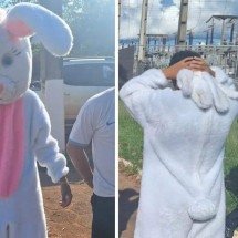 'Coelhinho da Páscoa' é apreendido em ação contra o crime organizado - PMMT