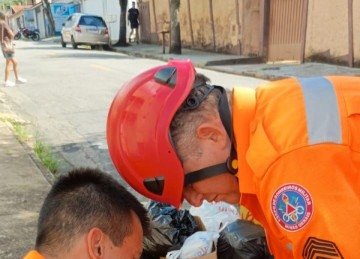 Maritaca &eacute; resgatada por Corpo de Bombeiros em Po&ccedil;os de Caldas (MG), em meio a emaranhado de fios com cerol. -  (crédito: CBMMG)