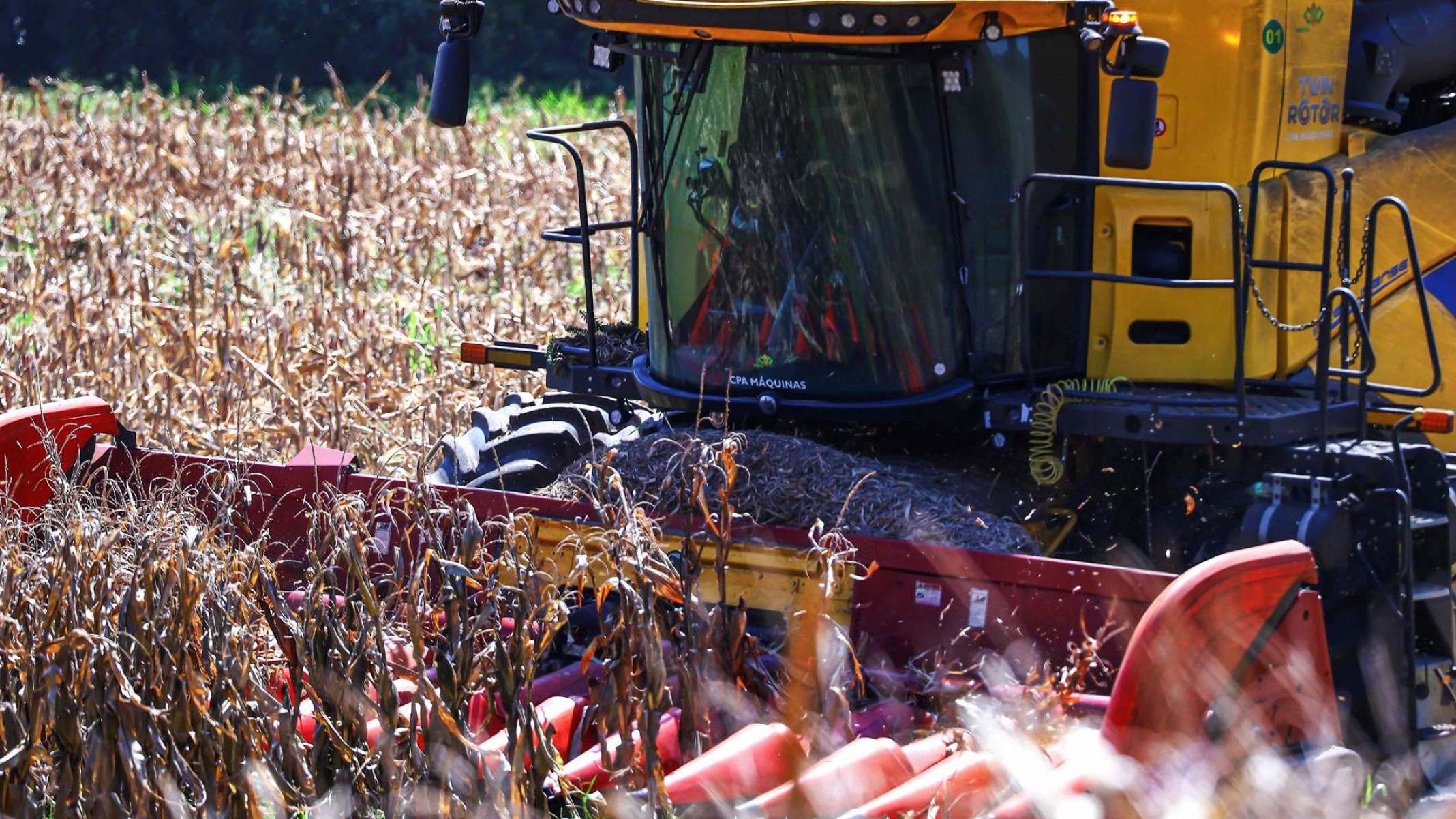 O mercado de IA na agricultura tem previs&atilde;o de crescimento global at&eacute; 2028 de US 4,7 bilh&otilde;es