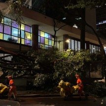 Temporal em BH: galho cai no Centro e quase atinge carro e motociclista - Rafael Silva/EM/D.A.Press