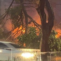 Motorista de carro atingido por árvore: "Deus salvou a gente" - Renata Galdino/EM/D.A.Press