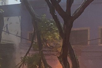 De acordo com relatos de testemunhas, o raio atingiu a árvore, que caiu imediatamente sobre o veículo -  (crédito: Renata Galdino/EM/D.A.Press)