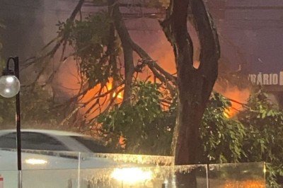 Al&eacute;m da queda do esp&eacute;cime, que ocorreu na Avenida do Contorno, houve um inc&ecirc;ndio no local -  (crédito: Renata Galdino/EM/D.A.Press)