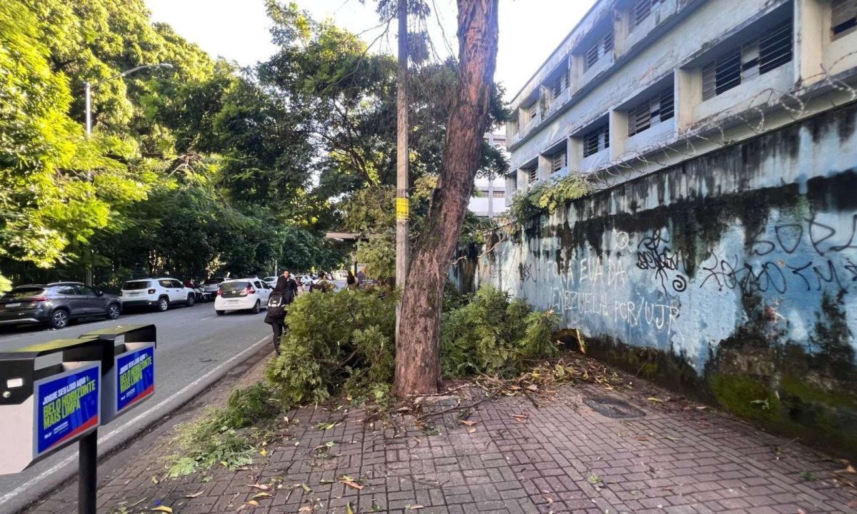 Na Região Centro-Sul, o temporal provocou a queda de ao menos 15 árvores -Edésio Ferreira/EM/D.A.Press
