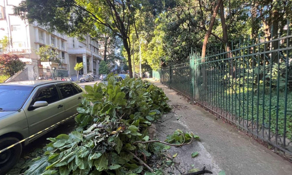 Na Região Centro-Sul, o temporal provocou a queda de ao menos 15 árvores -Edésio Ferreira/EM/D.A.Press