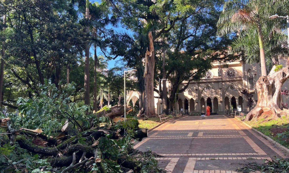 Na Região Centro-Sul, o temporal provocou a queda de ao menos 15 árvores -Edésio Ferreira/EM/D.A.Press