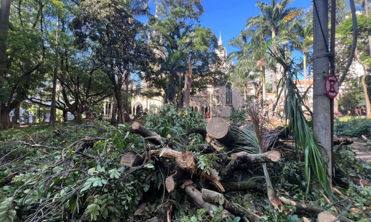 Na Região Centro-Sul, o temporal provocou a queda de ao menos 15 árvores -Edésio Ferreira/EM/D.A.Press