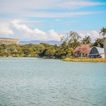 Conjunto Moderno da Pampulha: marco da arquitetura moderna no Brasil - Wikimedia Commons / Daniel Raposo