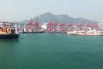 Quais os principais fatores de risco envolvidos no desenvolvimento de neoplasias e sua relação com hábitos de vida