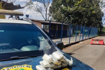 A abordagem aconteceu durante uma operação de rotina na rodovia -  (crédito: Divulgação/PRF)