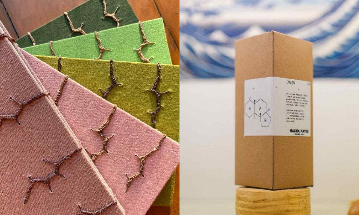 Ludi Encaderna&ccedil;&otilde;es e Magna Mater