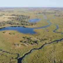 Paisagem impressiona até astronautas! Delta do Okavango é um dos fenômenos mais improváveis da natureza - Reproduc?a?o/YouTube