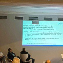 Vacina no braço, coração blindado? Ciência descobre benefício oculto - Nara Santos/EM/D.A Press