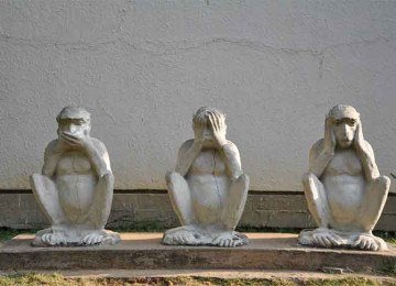 A única espécie de macaco no Japão recebe exatamente o nome do país, que dificilmente é visto pelas cidades porque seu habitat natural fica nas montanhas. Por sinal, influenciou a criação da famosa obra ‘Os três macacos da sabedoria’. Um deles fica com as mãos na boca, outro tapa os ouvidos e o último protege os olhos. -  (crédito:  Kalyan Shah - Wikimédia Commons)