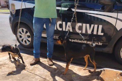 Cinco cães e maritaca são resgatados no Triângulo Mineiro -  (crédito: Divulgação/PCMG)