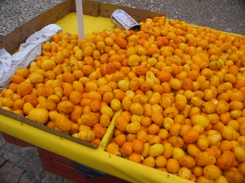 Frutas do Brasil que nem todos sabem que existem; conhece alguma? - Mateus Hidalgo/Wikipedia