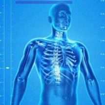 Alimentos com ferro protegem o corpo e previnem a anemia -  PublicDomainPictures pixabay