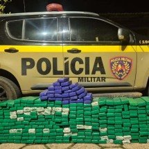 Homem é preso com 341 barras de maconha em MG; prejuízo é de R$ 700 mil - PMRv/Reprodu&ccedil;&atilde;o