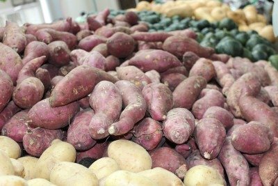 Cada vez mais presente nas dietas, a batata-doce ganhou destaque por seus benefícios. Rica em nutrientes e versátil, tornou-se escolha comum entre quem busca alimentação equilibrada e energia no dia a dia.
 -  (crédito: Imagem de Daniel Albany por Pixabay

)