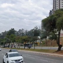 Motorista sem CNH atropela e mata mulher na faixa de pedestres - Reprodução