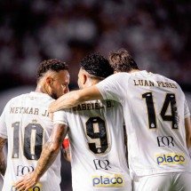 Os caras ganham milhões e desconhecem a regra do futebol - Raul Baretta/ Santos FC