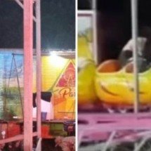 Parque é fechado depois de morte de cantora em brinquedo - Reprodução/Redes Sociais