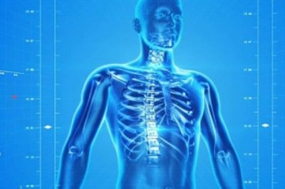 Essencial para o corpo, o ferro desempenha um papel vital no transporte de oxigênio pelo sangue. Sem ele, funções básicas do organismo podem ser comprometidas.
 -  (crédito:  PublicDomainPictures pixabay)