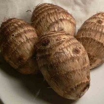 Inhame: tradição, versatilidade e benefícios em um só alimento - - Creative Commons