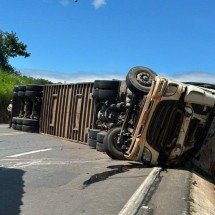 Carreta que transportava bois tomba na BR-365 e motorista morre - Redes Sociais/Divulga&ccedil;&atilde;o