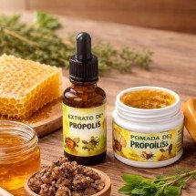 Conheça 6 benefícios do própolis para a saúde - Imagem gerada por I.A
