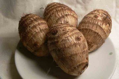 O inhame, tubérculo amplamente consumido em diversas regiões tropicais, vem ganhando espaço nas mesas brasileiras não apenas pelo sabor, mas também pelo seu valor nutricional e versatilidade culinária. Pertencente ao gênero Dioscorea, o alimento é frequentemente confundido com o cará, embora apresente diferenças botânicas e de cultivo. Presente há séculos na alimentação de povos da África, Ásia e América Latina, o inhame se consolidou como um ingrediente importante tanto na culinária tradicional -  (crédito: - Creative Commons)