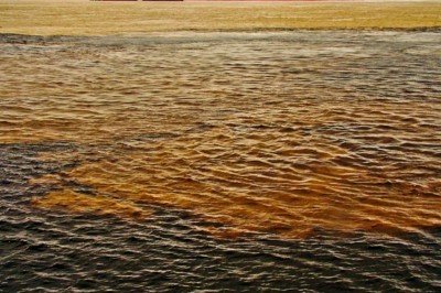 O Brasil concentra cerca de 12% da água doce que corre pelos rios do planeta. Esse patrimônio natural possui grande relevância não apenas ambiental, mas também econômica, histórica e cultural. Como curiosidade, conheça quais são os rios mais extensos do território brasileiro. -  (crédito: Lucia Barreiros da Silva wikimedia commons)