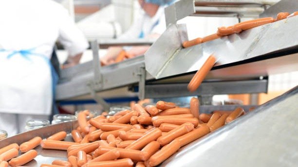 Milhares de salsichas em esteira de produ&ccedil;&atilde;o industrial evidenciam o volume e a padroniza&ccedil;&atilde;o do processo fabril. -  (crédito: iStock)