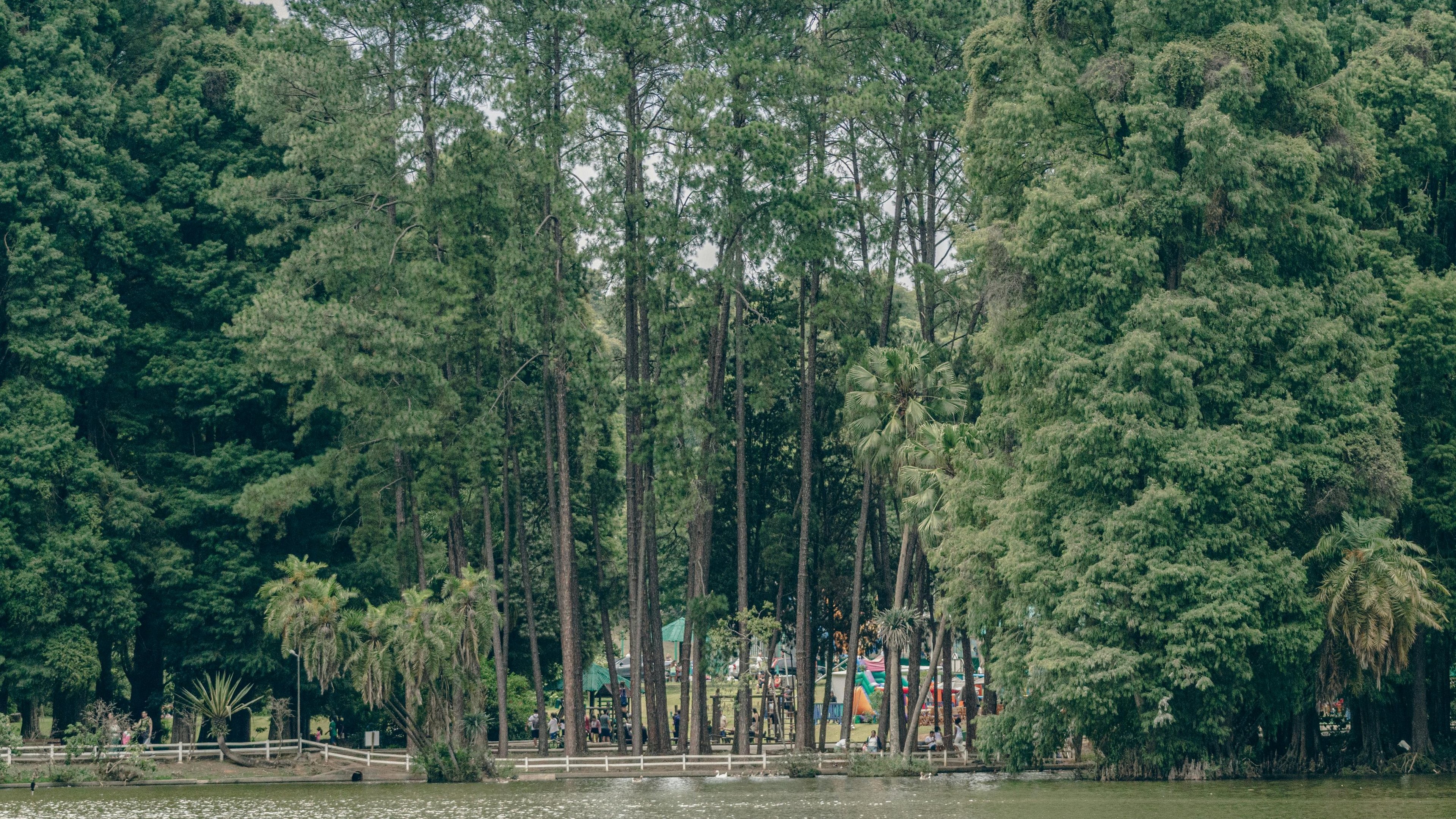 Conheça os 5 maiores parques urbanos do Brasil - Pexels/ Alexandre Canteiro