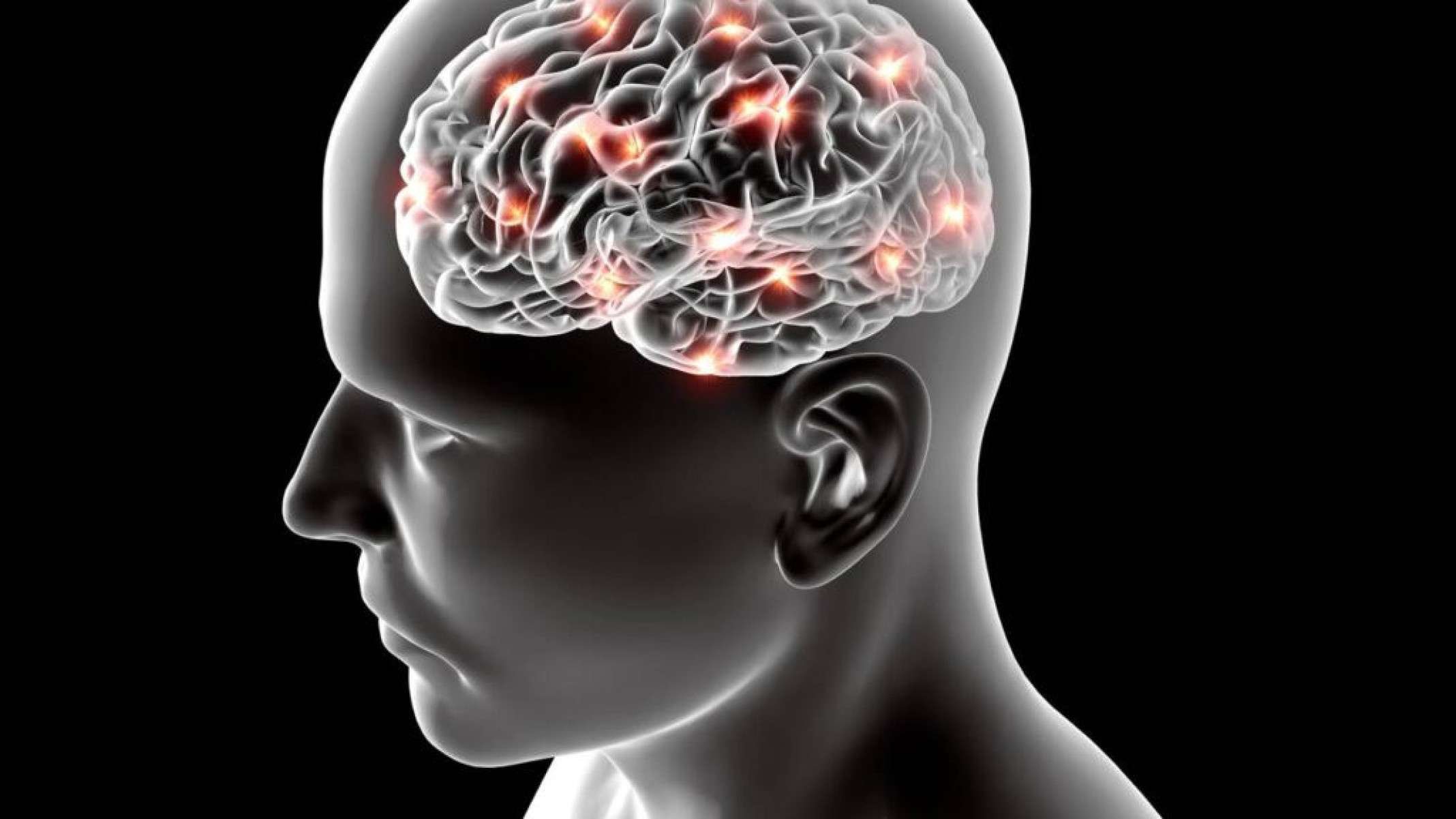 Como treinar o cérebro para gostar de estudar e transformar disciplina em recompensa mental? - Portal Giro 10