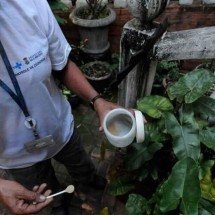 Dengue: metade das cidades de MG em alerta para infestação do mosquito - Leandro Couri/EM/D.A Press