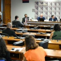 Saiba como votou cada senador na CPI do Crime Organizado - Andressa Anholete/Ag&ecirc;ncia Senado