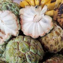 Doce e cremosa: trunfos que fazem da fruta-do-conde boa opção - Bless Nathan/Wikimédia Commons