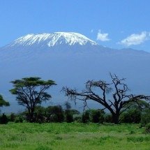 Kilimanjaro: a montanha africana com neve no coração dos trópicos - Imagem de Greg Montani por Pixabay