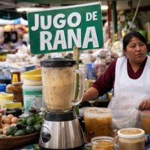 Experiência exótica ou elixir milagroso? Jugo de rana move mercados andinos - Imagem gerada por i.a 