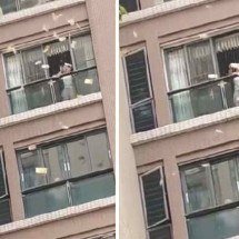 Mulher faz ‘chover dinheiro’ ao jogar R$ 1 milhão pela janela; assista - Redes sociais