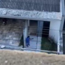 MG: homem que matou cadela com 11 tiros é denunciado pelo MP - Reprodu&ccedil;&atilde;o redes sociais