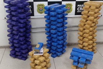 Em ação de combate ao tráfico de drogas, desencadeada na manhã desta quarta-feira (15/4), a Polícia Civil prendeu em flagrante dois homens, de 22 e 28 anos, em posse de aproximadamente 200 quilos de maconha -  (crédito: Divulgação/PCMG)