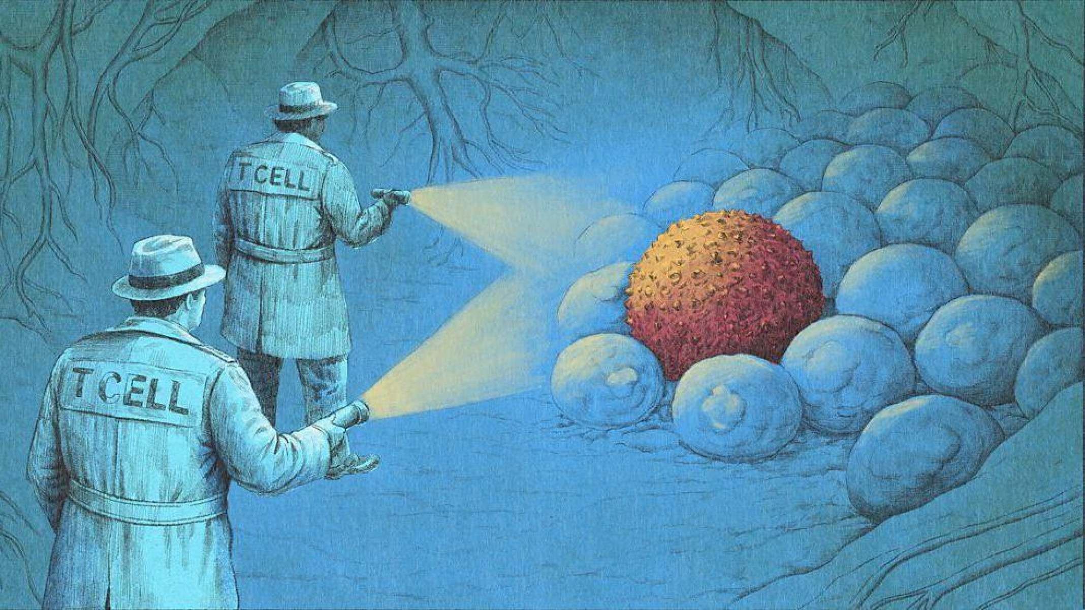 As células cancerosas, muitas vezes, podem se parecer com as outras células saudáveis à sua volta, de forma que o sistema imunológico pode precisar de indicadores para auxiliar na sua identificação -  (crédito: Emmanuel Lafont/BBC)