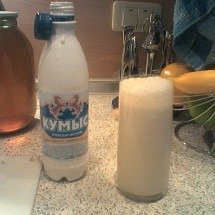 A essência do kumis: o segredo do leite de égua fermentado - Edmund Schlue wikimedia commons