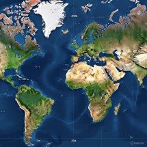 Entenda só a biologia dos animais que hibernam no inverno - Imagem gerada por i.a 