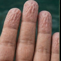 Por que os dedos ficam enrugados na água: o mecanismo do corpo que vai além da absorção e pode até melhorar a aderência - Imagem gerada por i.a 